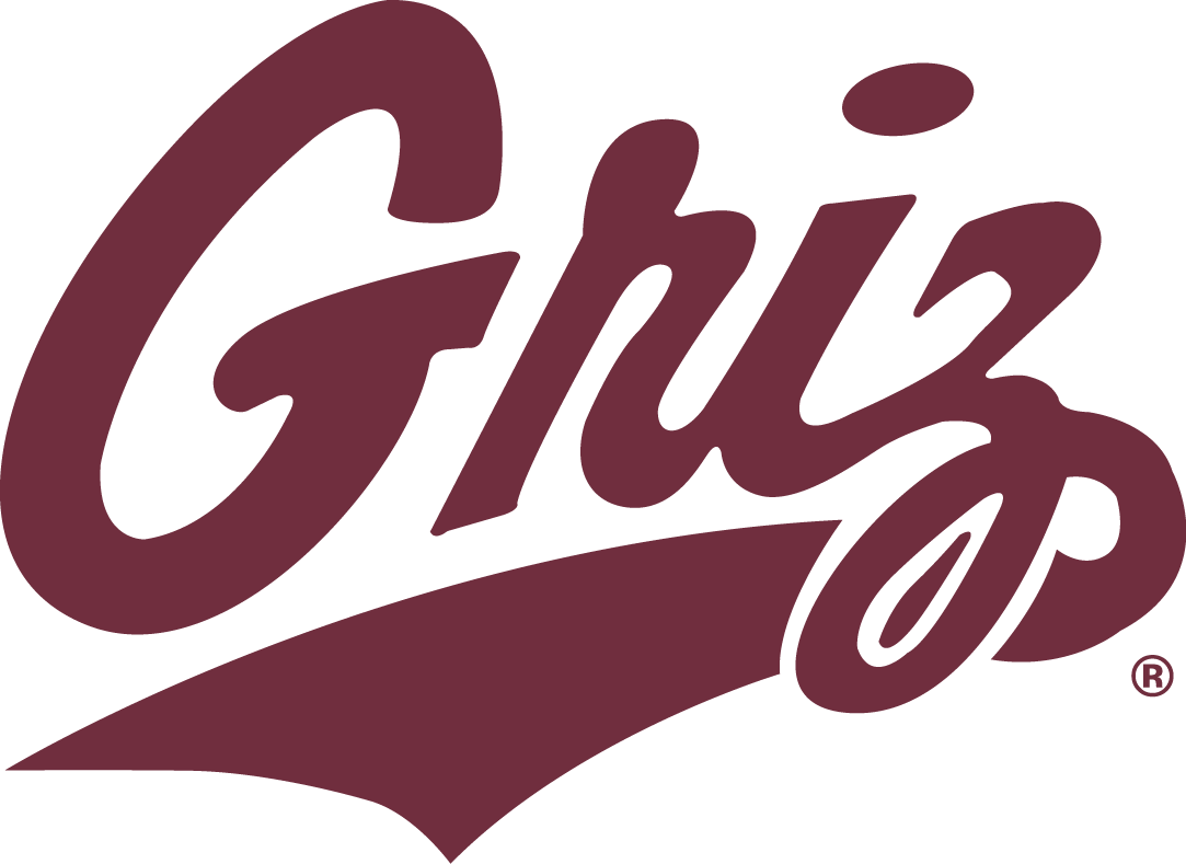 Montana Grizzlies 1996-Pres Secondary Logo iron on transfers for clothing